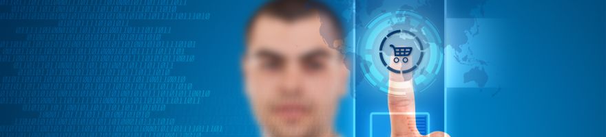 E Business Application Development Services