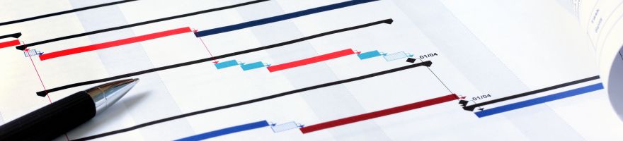 Project Management Services